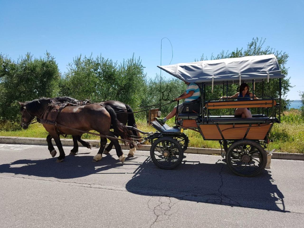 Lamasu Rioverde - Lago Di Garda San Felice del Benaco Luaran gambar